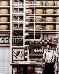 11-50-1 Reggiano